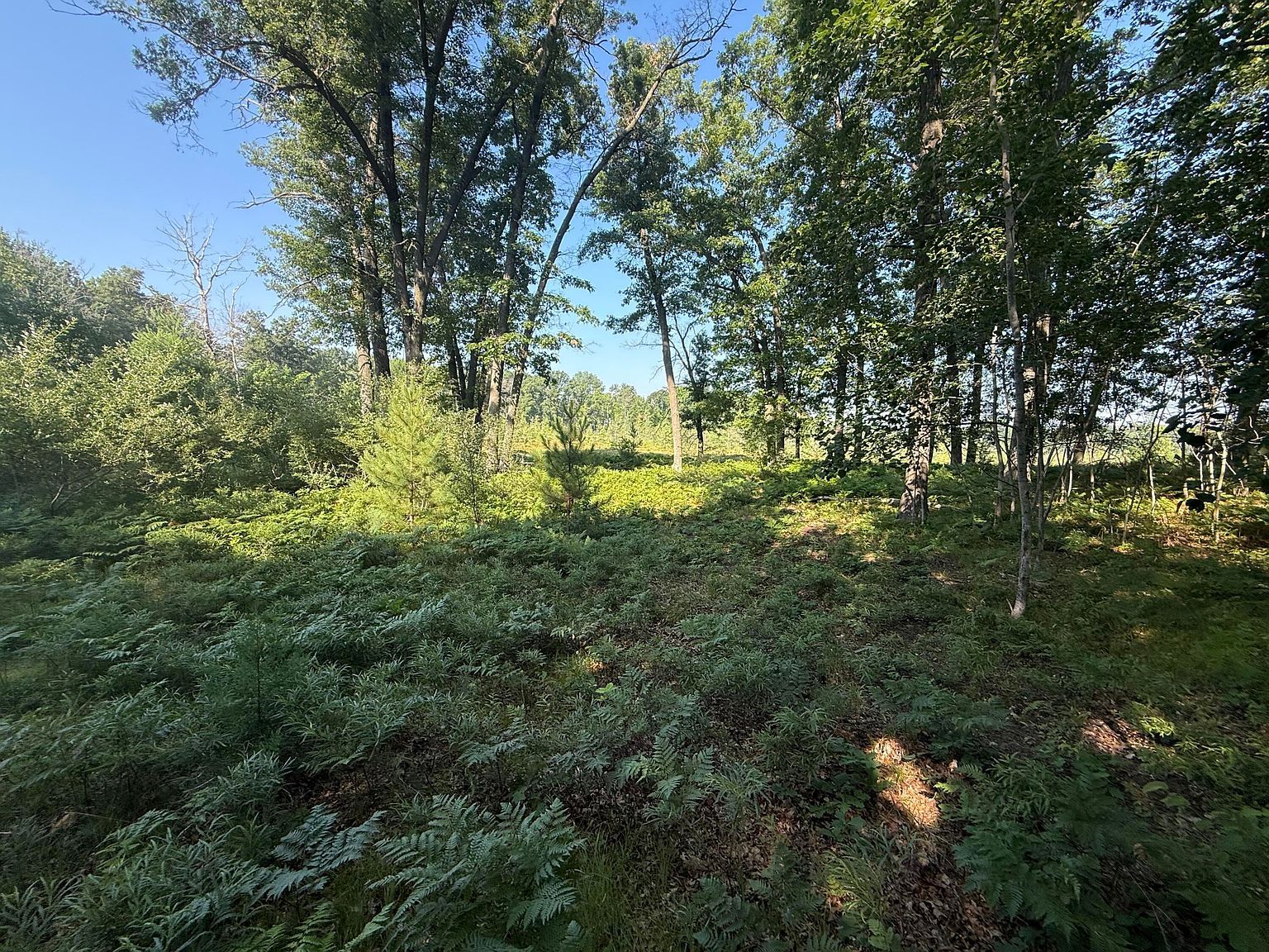 W Royal Rd #2 Stanwood, MI 49346  | Land/Lot