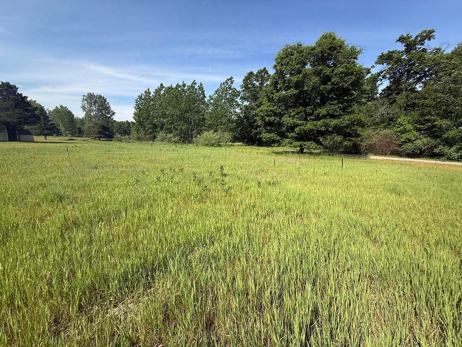 W Royal Rd Lot D Stanwood, MI 49346, 49346