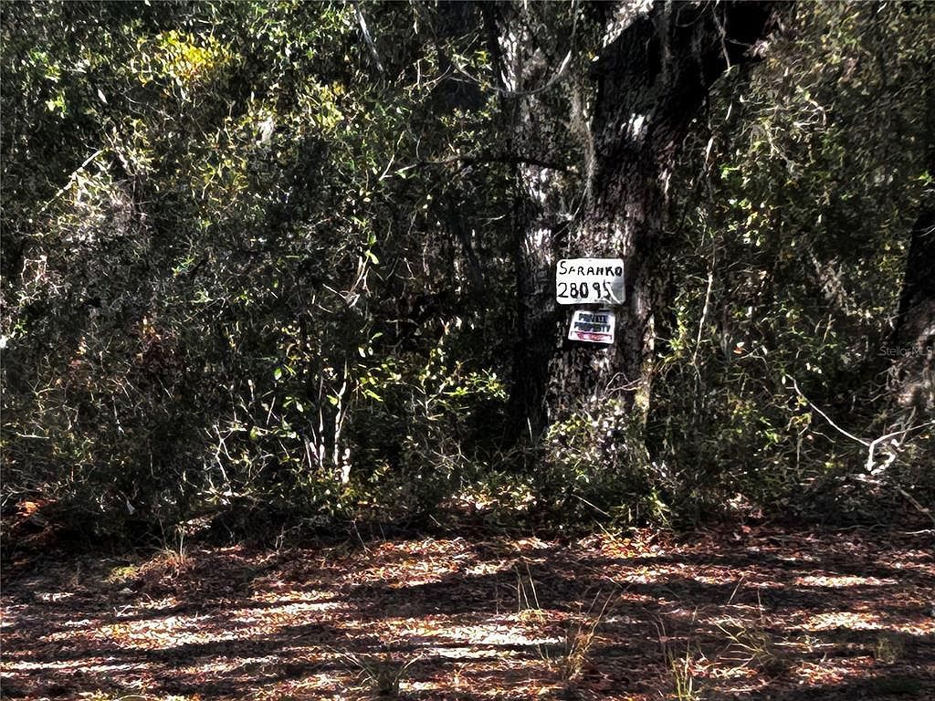 28093 SE Highway 42 Umatilla, FL 32784  | Land/Lot
