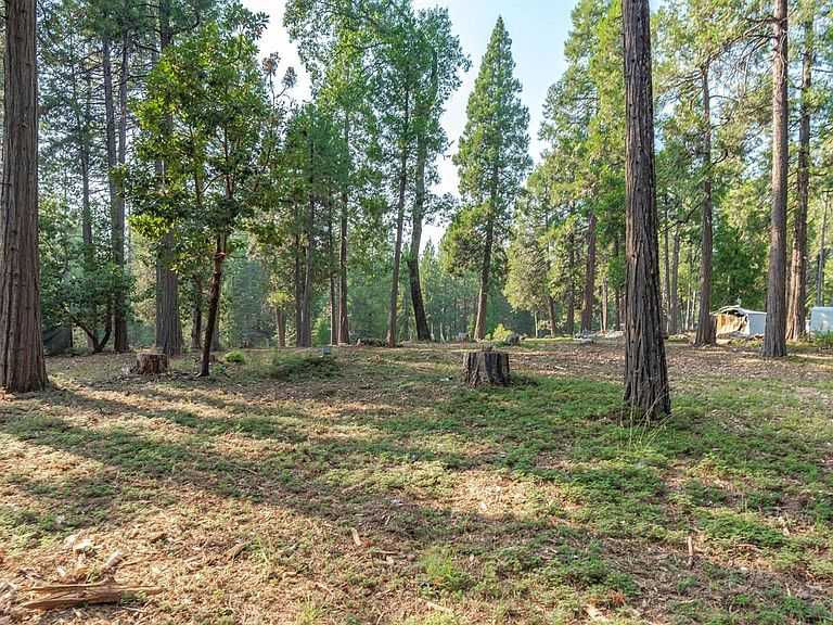 27460 CA-88, Pioneer, CA 95666 | Land/Lot