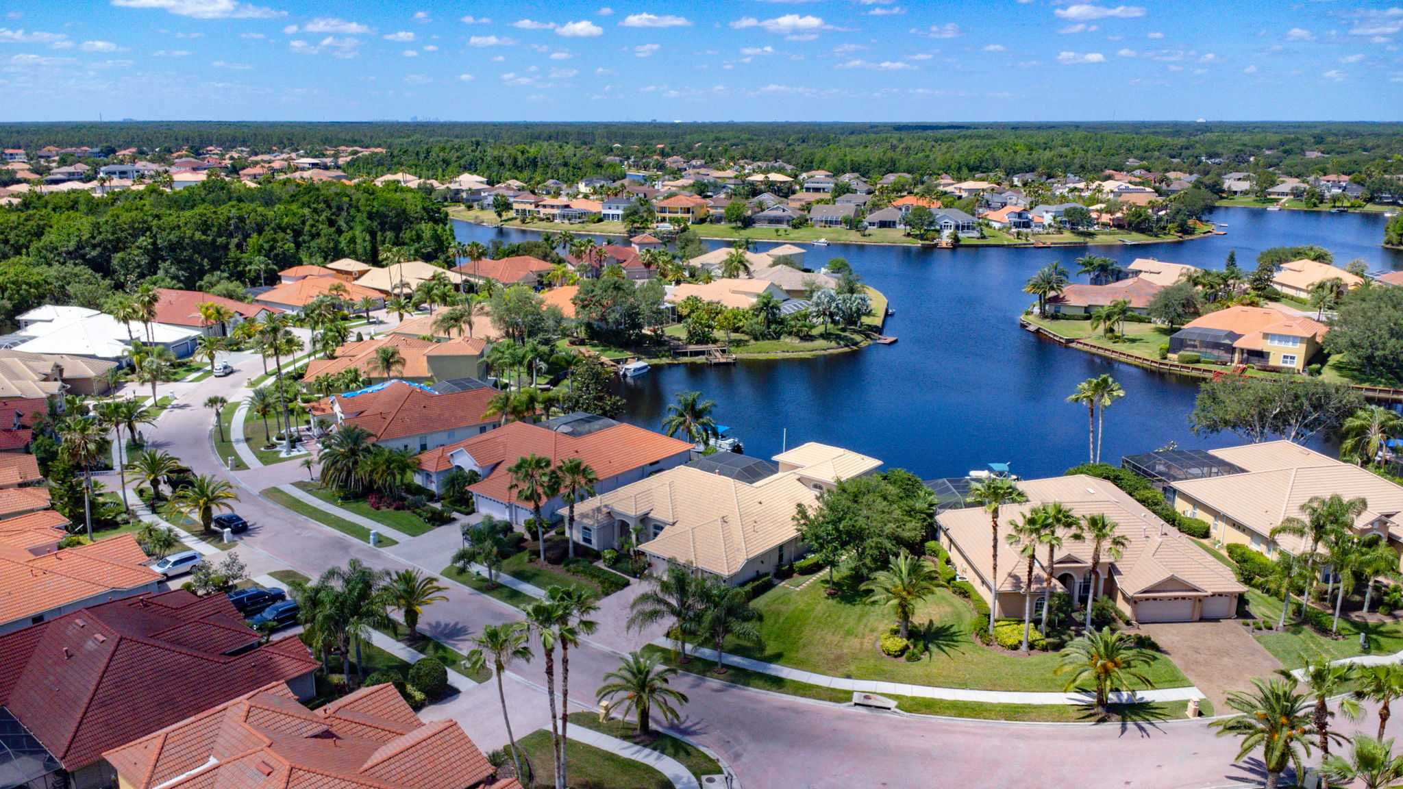 10835 Barbados Isle Dr, Tampa, FL 33647, USA - Thumbnail 2