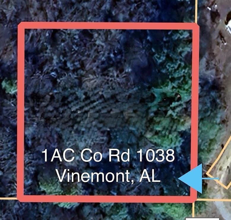 1AC County Road 1038 Vinemont, AL 35179 - Thumbnail 2