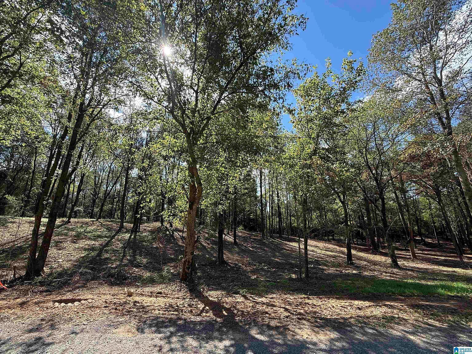 12B County Road 1123 #12B Vinemont, AL 35179 - Thumbnail 2