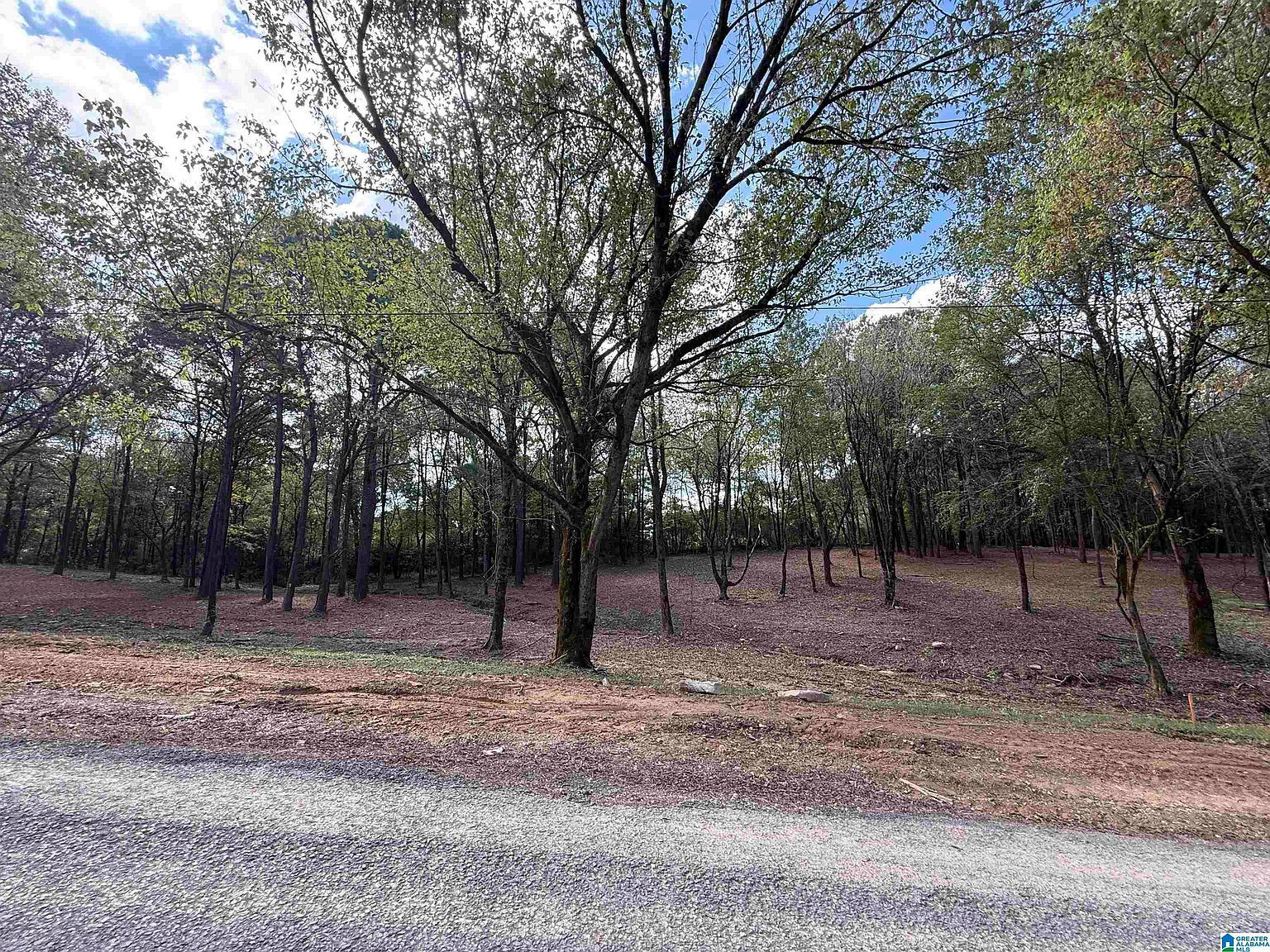1B County Road 1123 #1B Vinemont, AL 35179 - Thumbnail 2