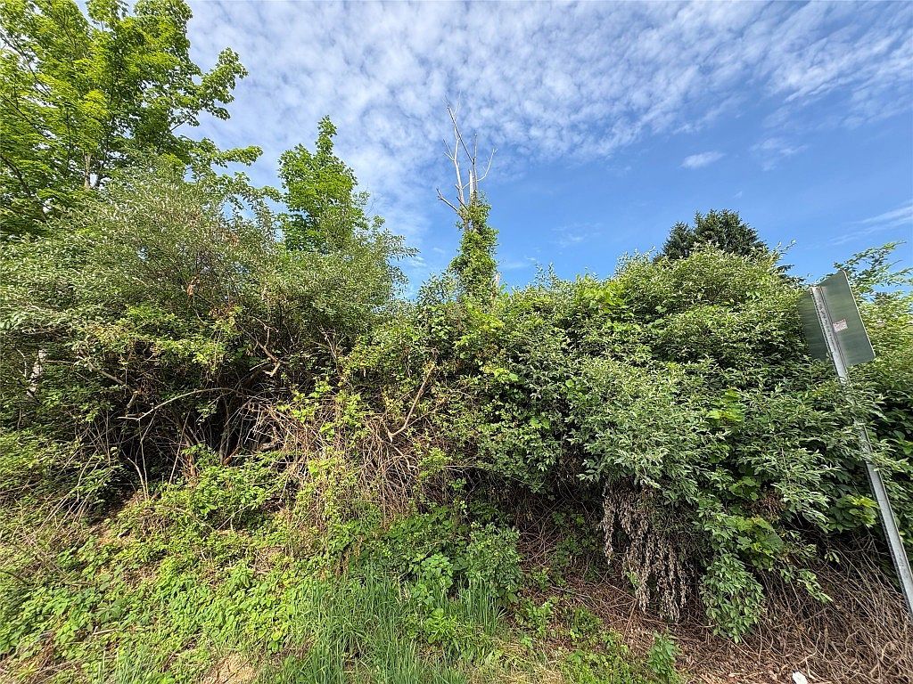 289 Lower Stella Ireland Rd Binghamton, NY 13905 - Thumbnail 2