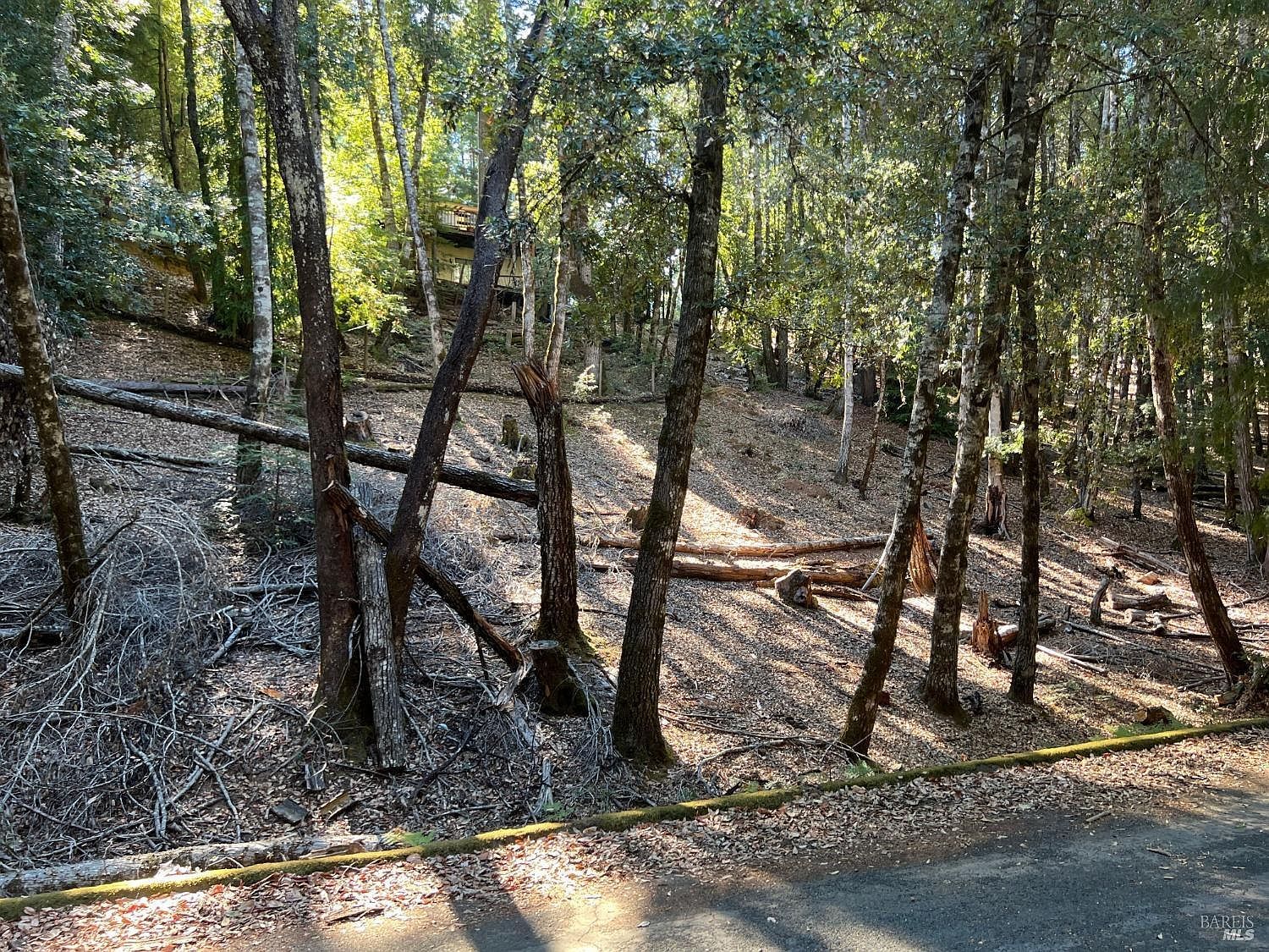 27208 Bear Dr Willits, CA 95490 - Thumbnail 2