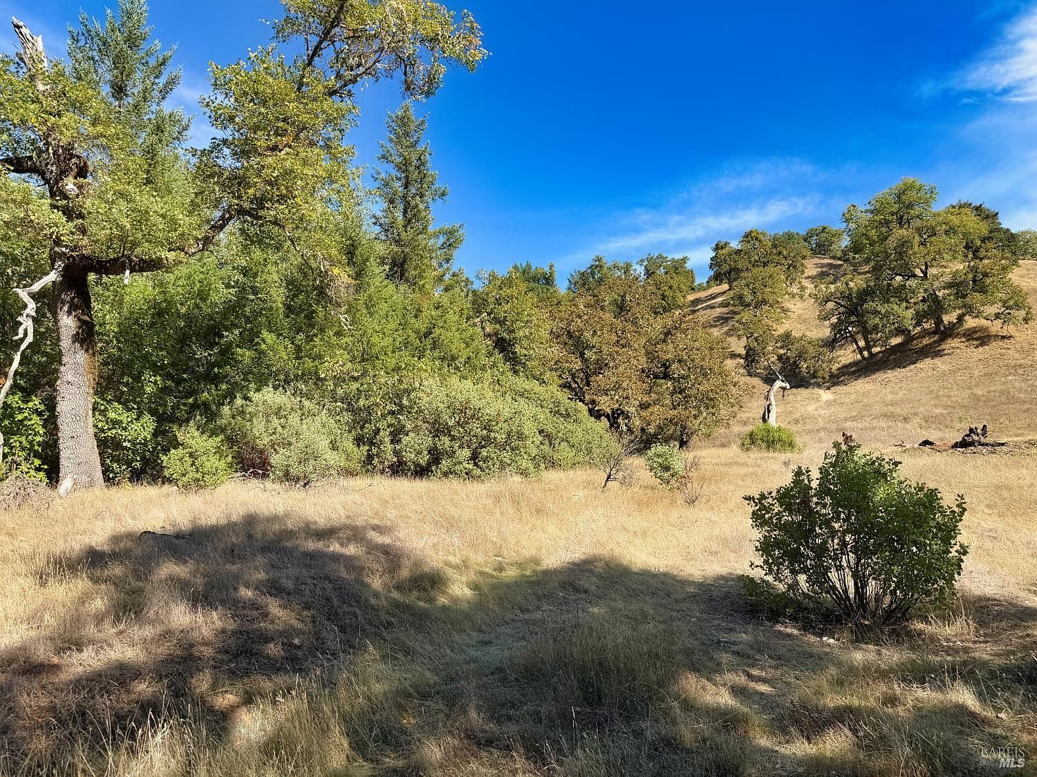 18225 Scenic Dr Redwood Valley, CA 95470 - Thumbnail 2