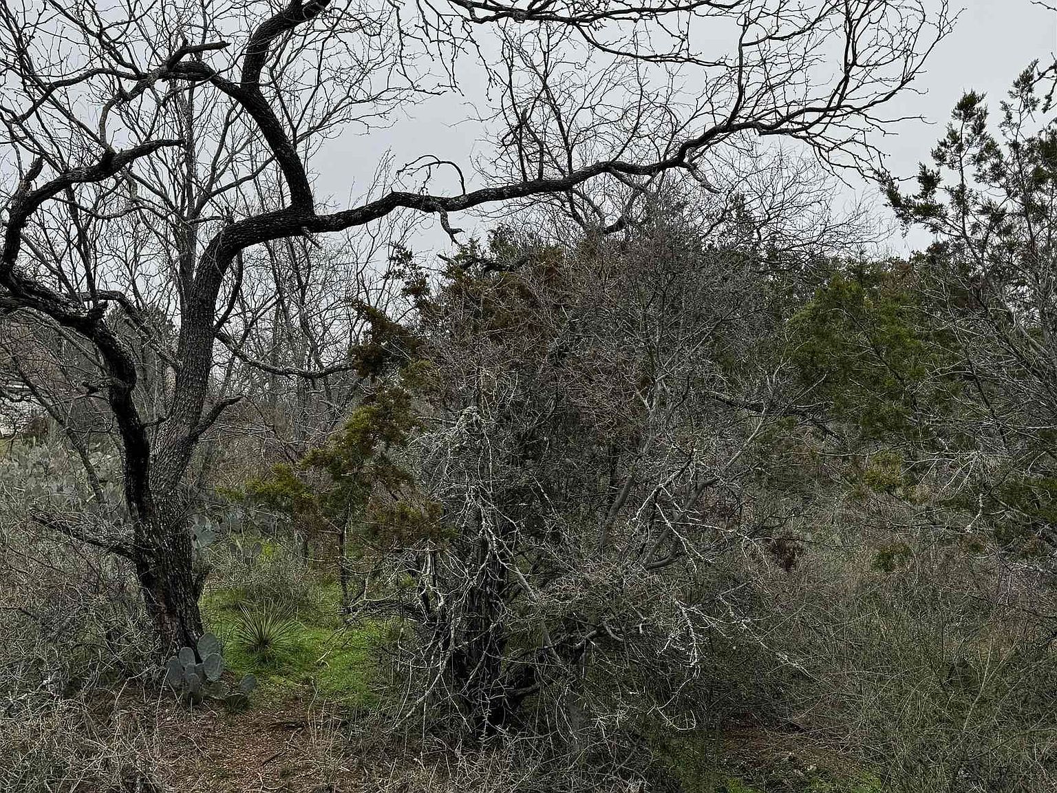 424 E Castlewood Dr Marble Falls, TX 78654 - Thumbnail 2