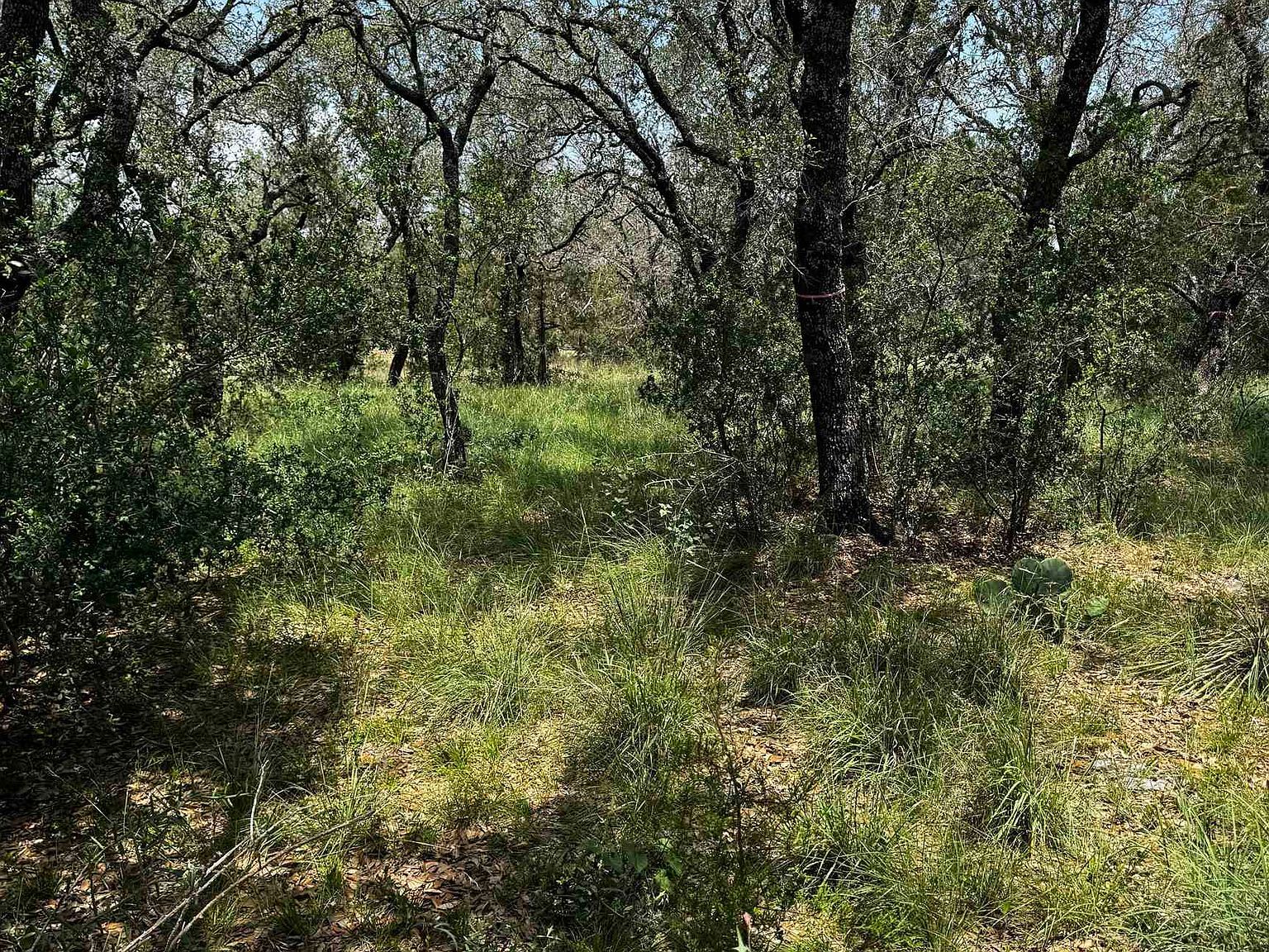 109 Iron Horse Horseshoe Bay, TX 78657 - Thumbnail 2