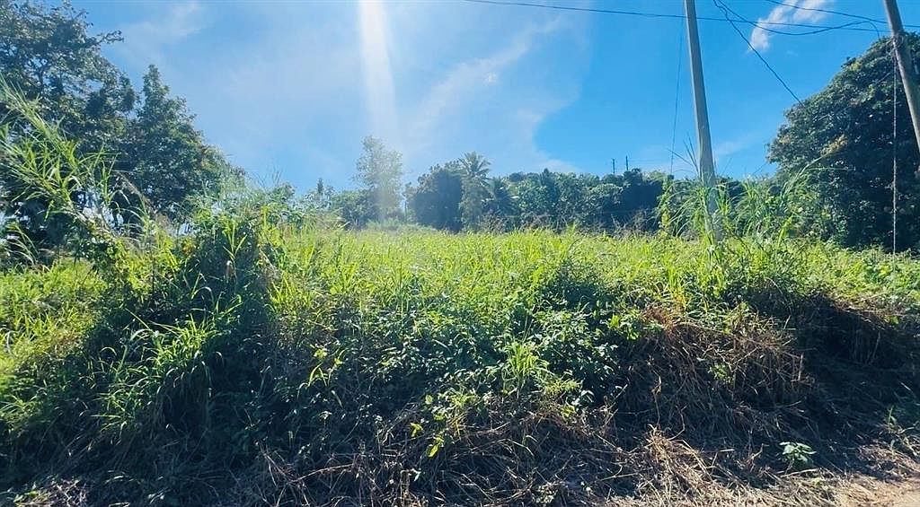 Bo Naranjo Carretera 2 Km 138.2 Int Aguada, PR 00602 - Thumbnail 2