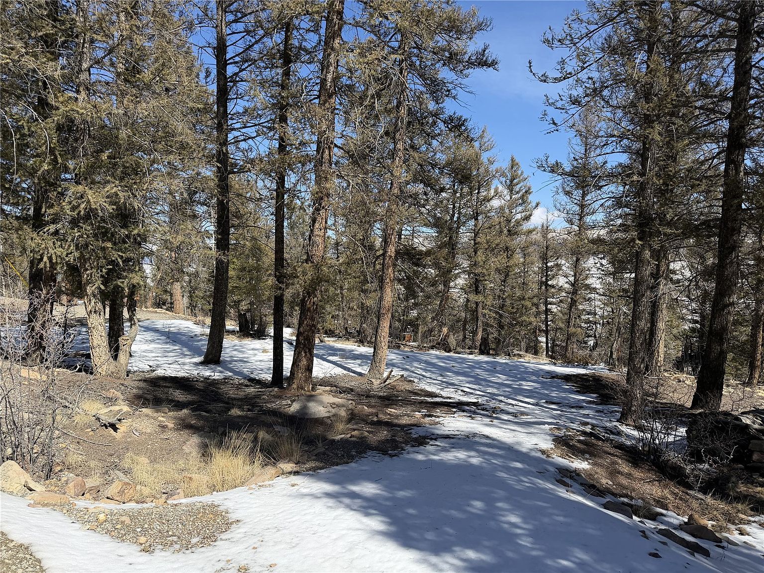 806 Middle Fork Vis Fairplay, CO 80440  | Land/Lot