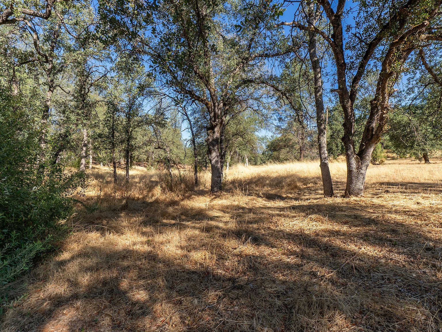 Natalie Way Redding, CA 96003 - Thumbnail 2