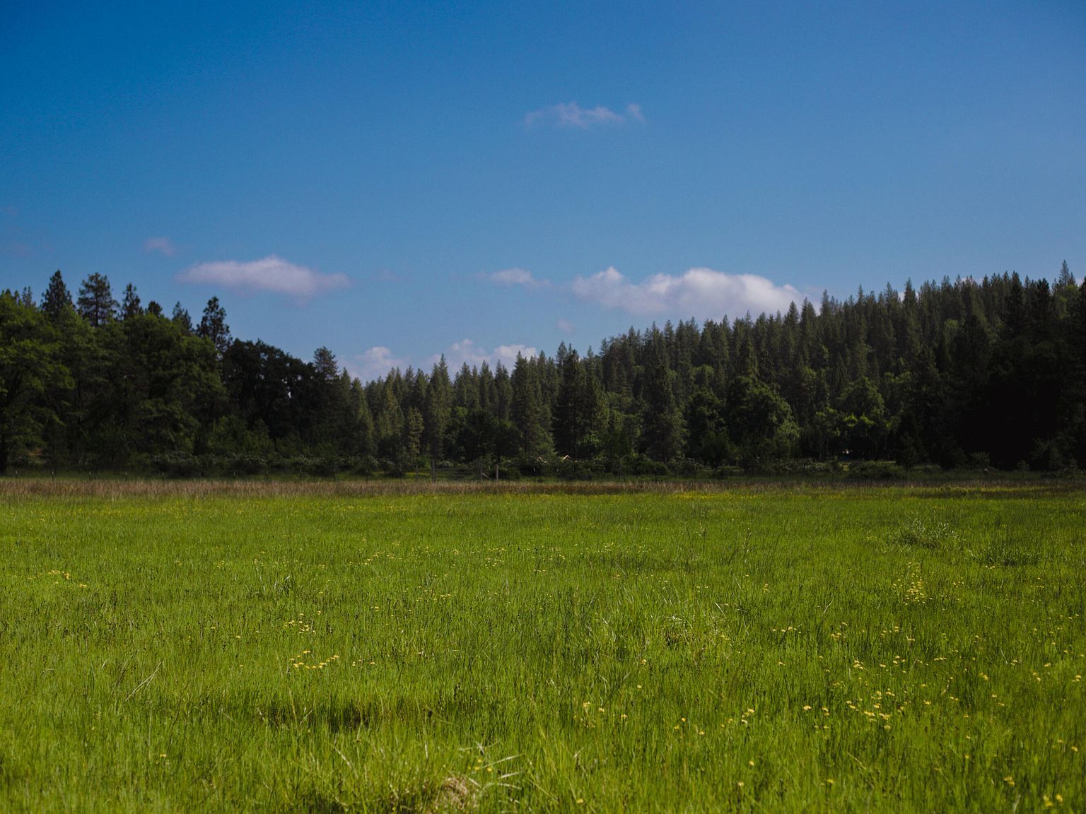 29276 Bullskin Ridge Rd Oak Run, CA 96069 - Thumbnail 2