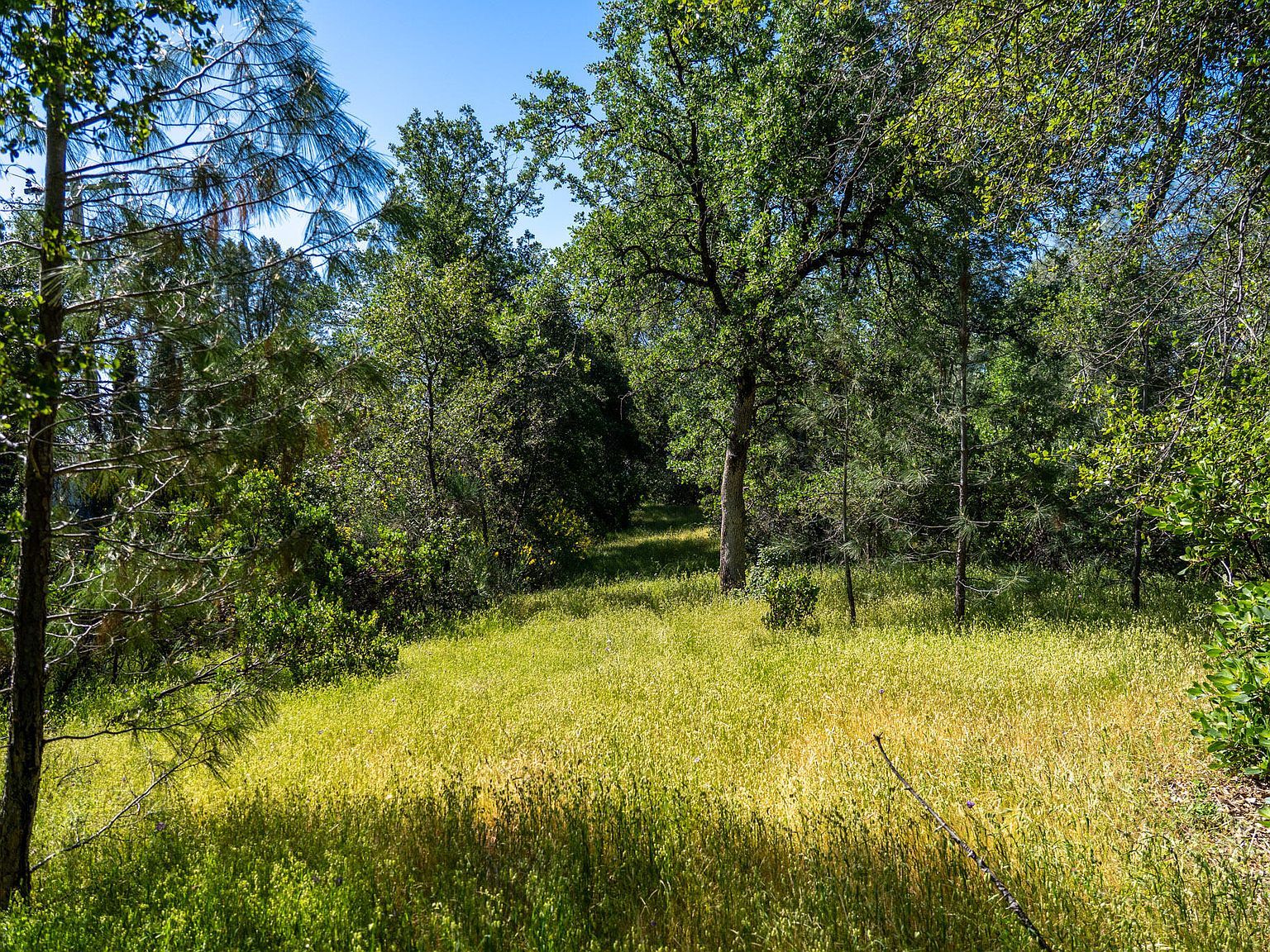 3280 Cowgill Ln Redding, CA 96003 - Thumbnail 2