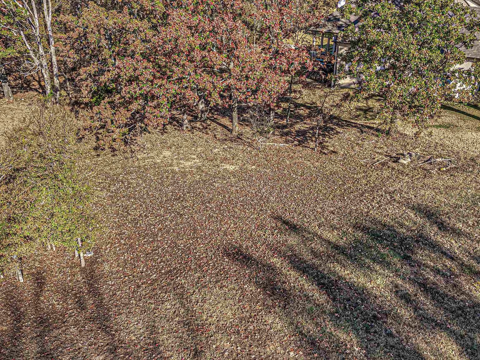 12668 Bravo Rd Collierville, TN 38017 - Thumbnail 2