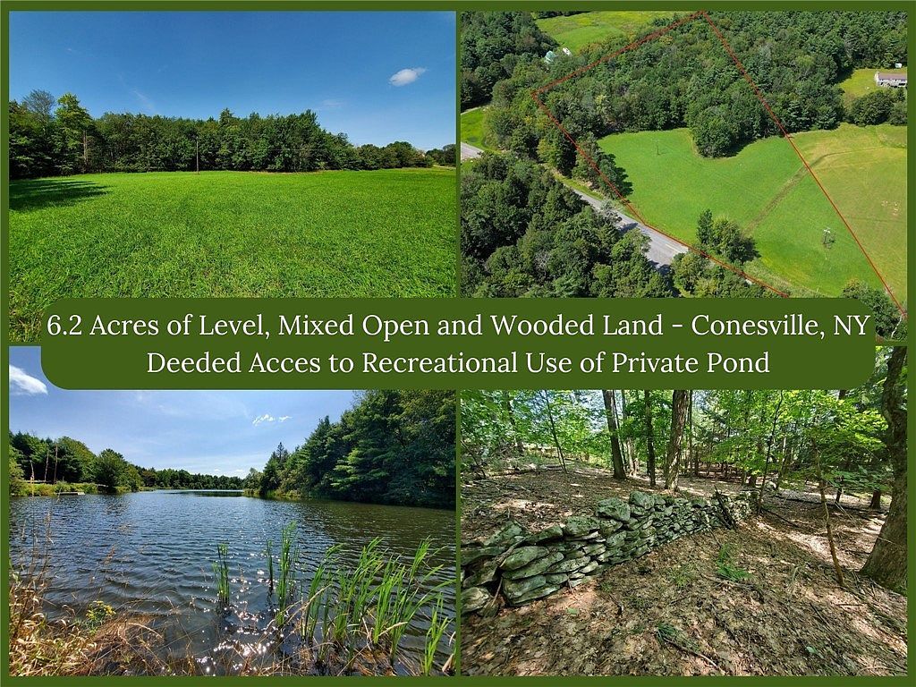 LOT 10 Bull Hill Rd Lot 10 Gilboa, NY 12076  | Land/Lot