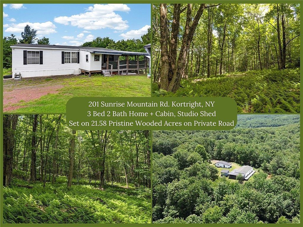 201 Sunrise Mountain Rd Bloomville, NY 13739, 13739