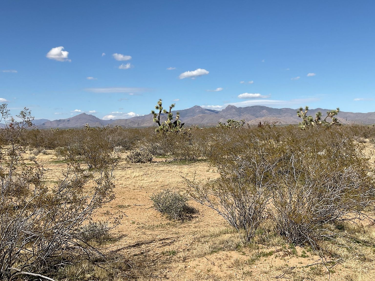 E Red Barrel Dr Yucca, AZ 86438 - Thumbnail 2