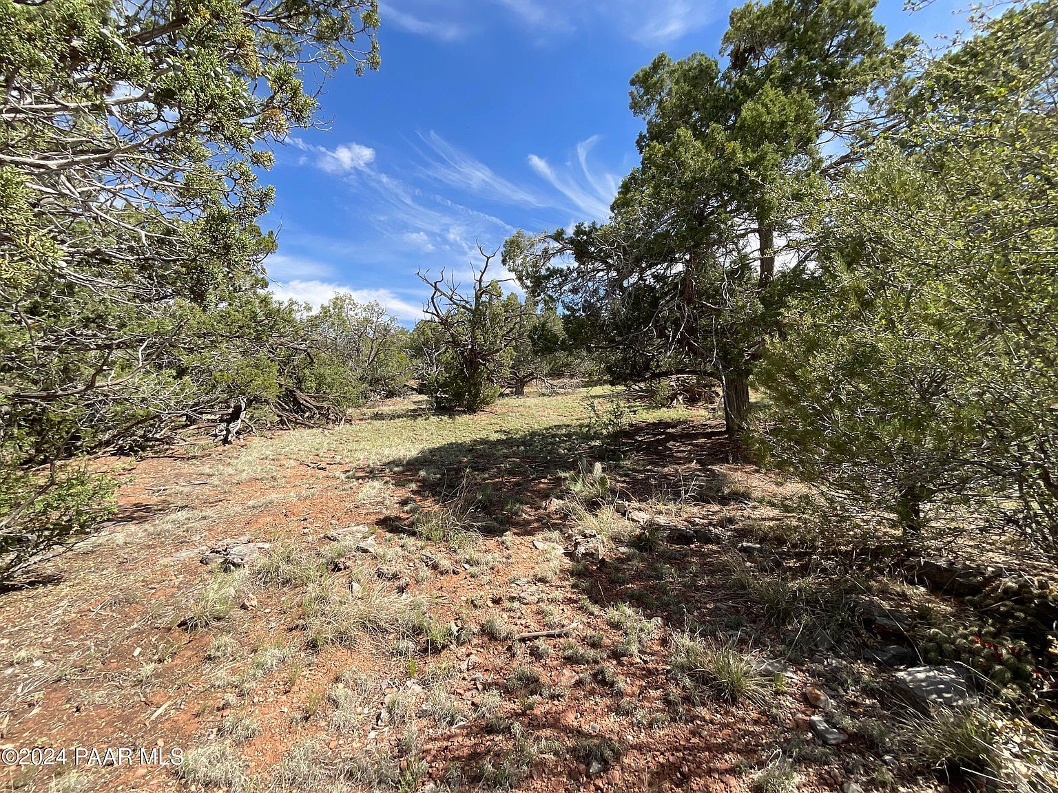 LOT 162 Forest Ln Seligman, AZ 86337 - Thumbnail 2