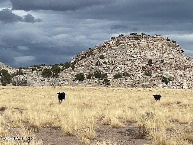 937 Woodland Valley Rnch Saint Johns, AZ 85936 - Thumbnail 2