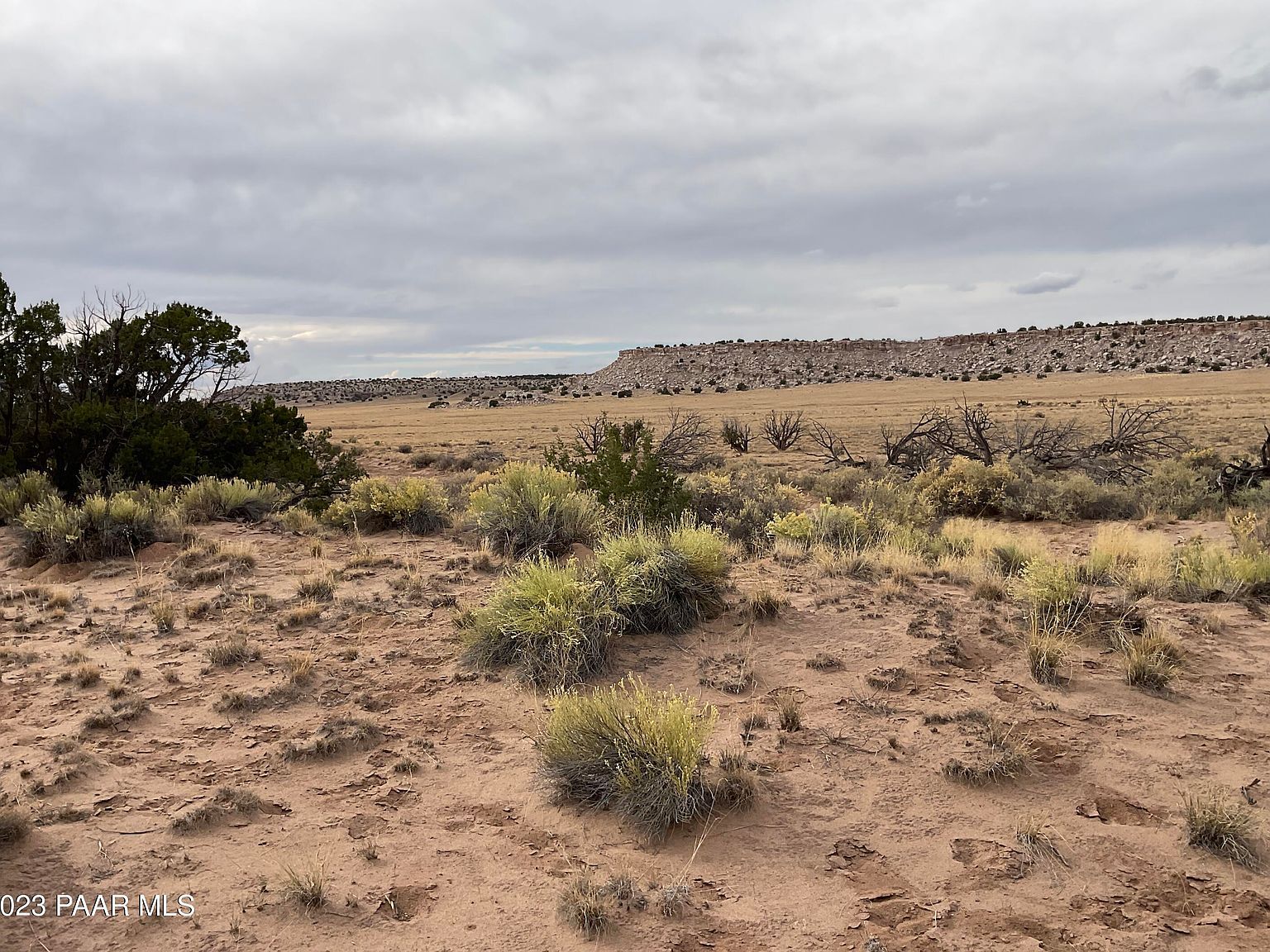 934 Woodland Valley Rnch Saint Johns, AZ 85936 - Thumbnail 2