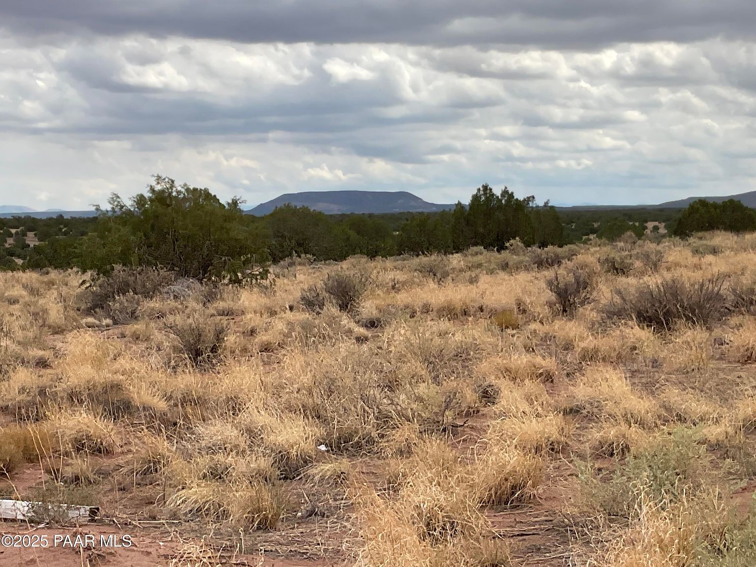 4 Ranch Of The White Mountains Concho, AZ 85924 - Thumbnail 2