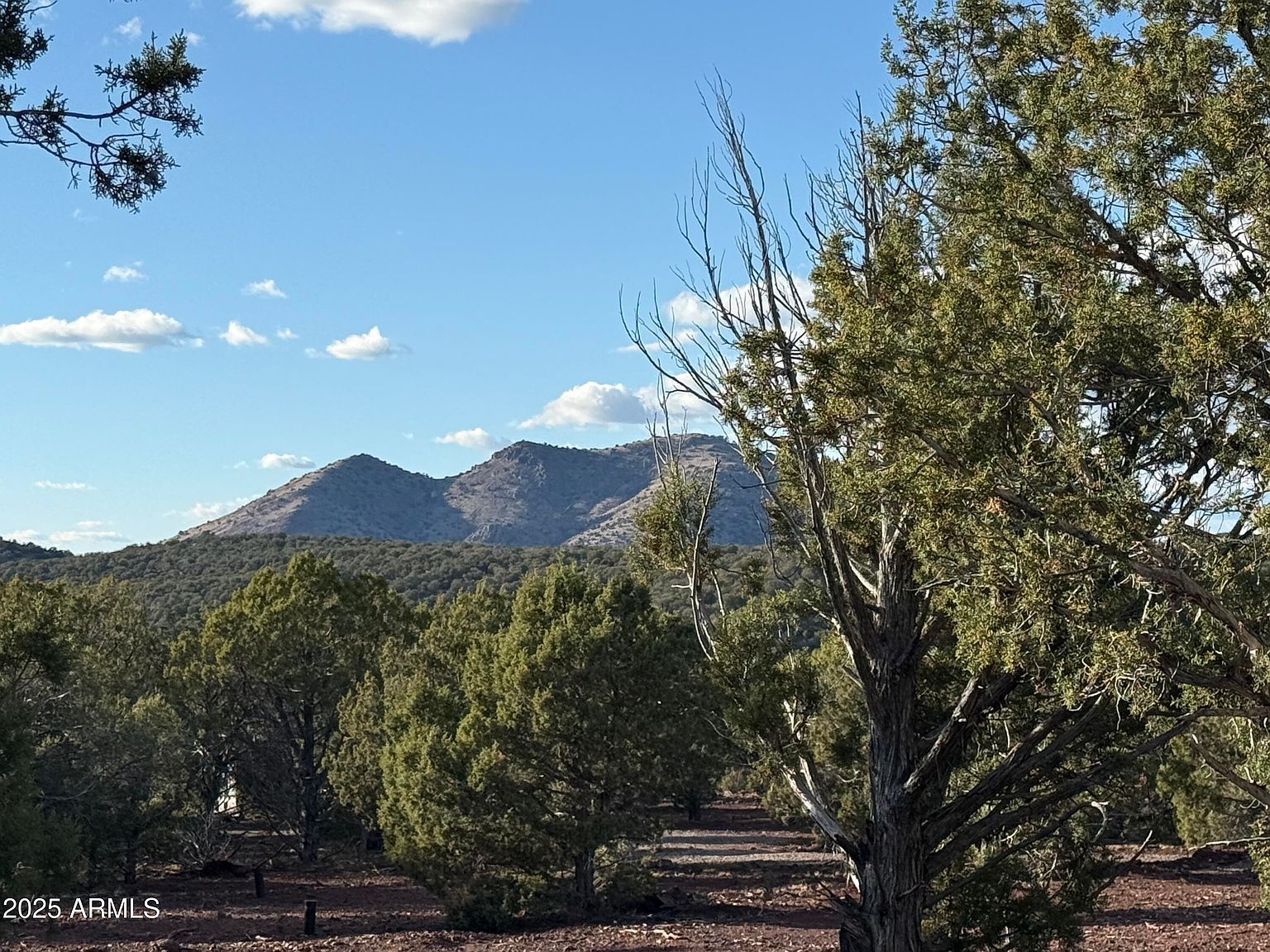 17375 Beale Wagon Rd #458 Williams, AZ 86046 - Thumbnail 2