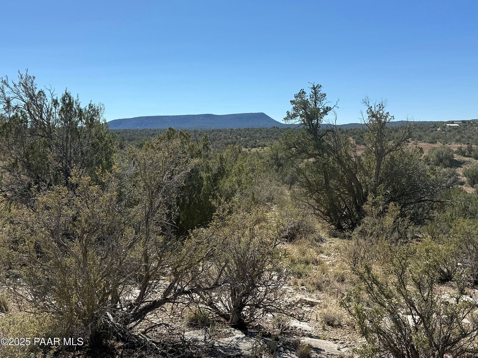 33367 W Hora Cir Seligman, AZ 86337 - Thumbnail 2