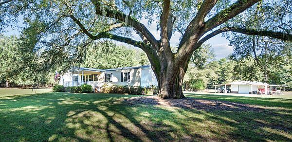 7901 Ashleigh Rd Blackville, SC 29817 - Thumbnail 2