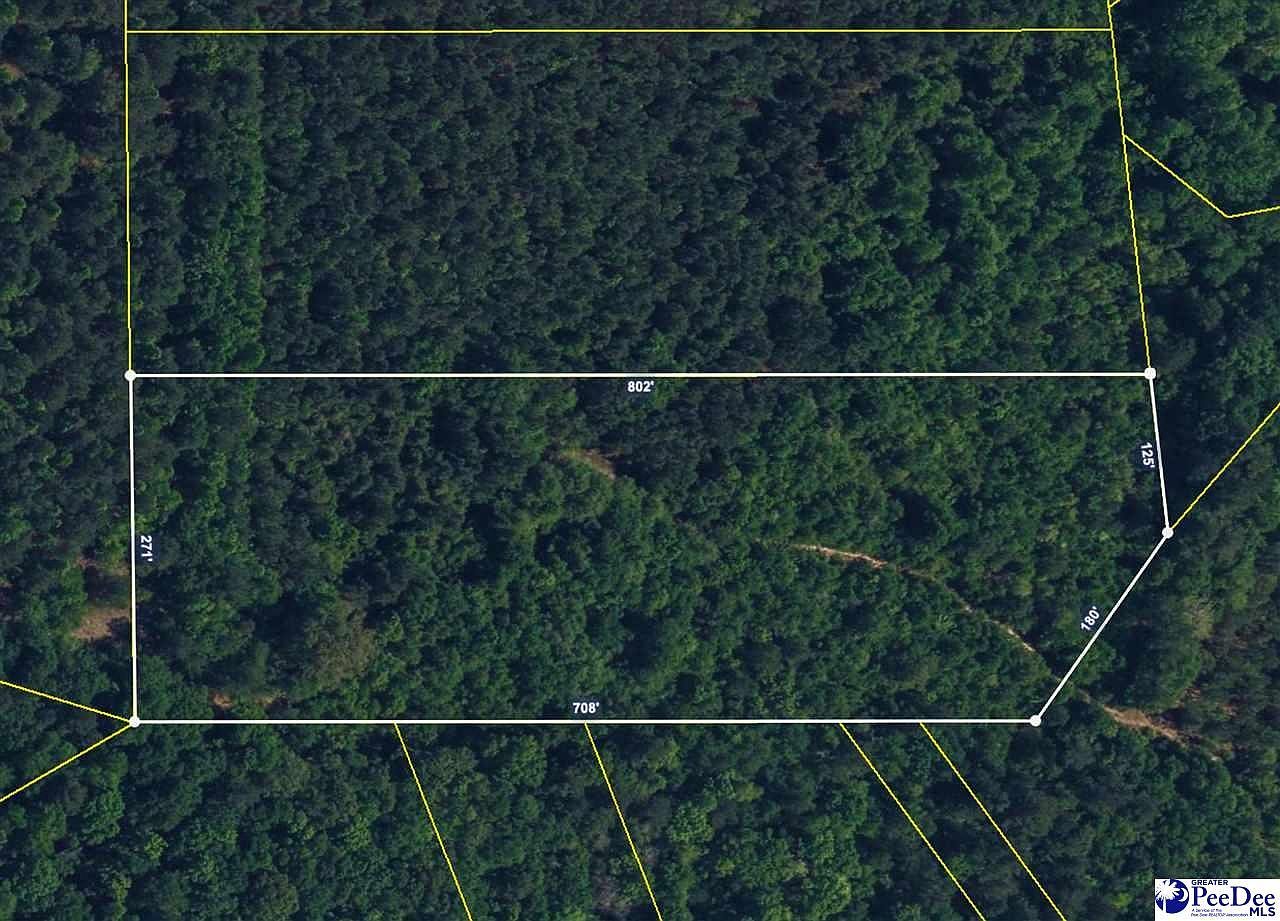4.87 Acres Tract #E2 Pamplico, SC 29583 - Thumbnail 2