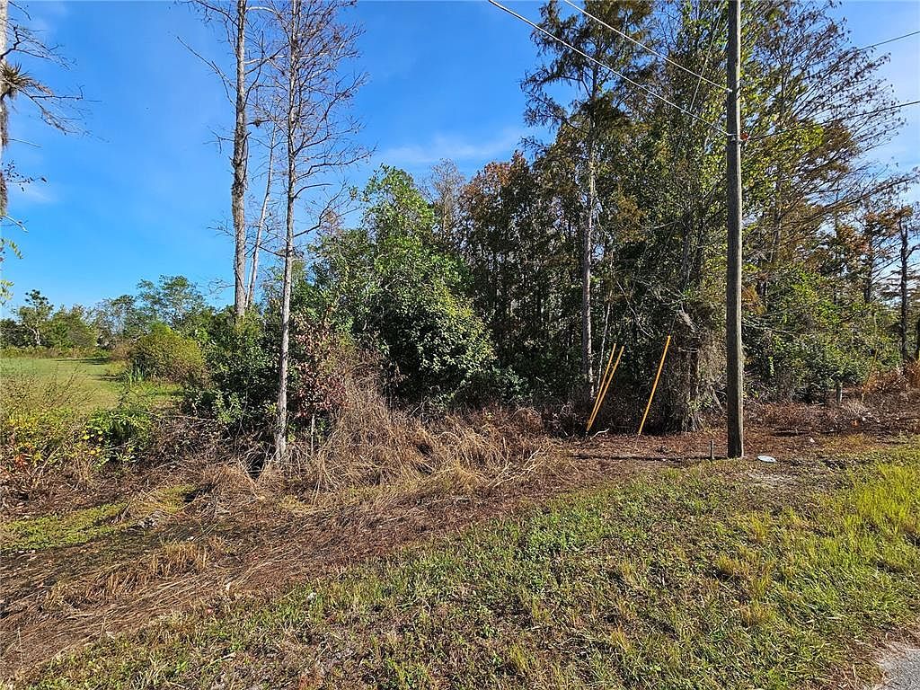 Luna Dr LOT 272 Saint Cloud, FL 34773 - Thumbnail 2