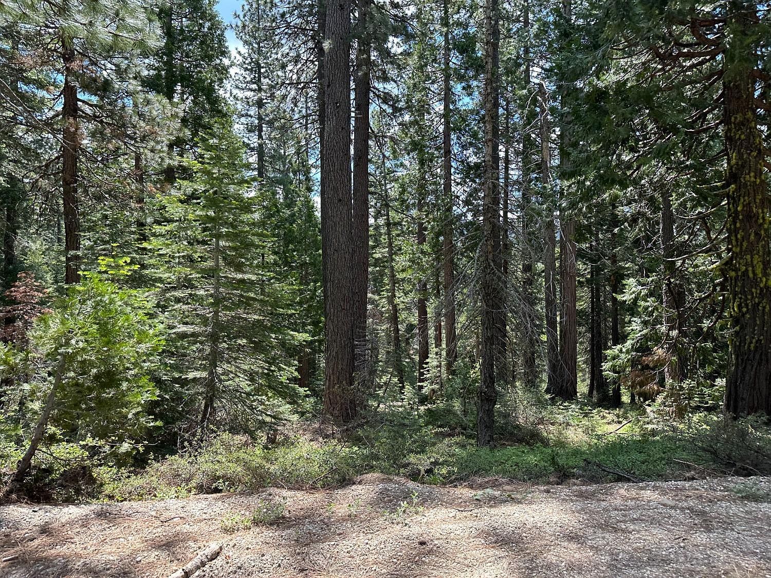 32776 Gaston Rd Nevada City, CA 95959 - Thumbnail 2