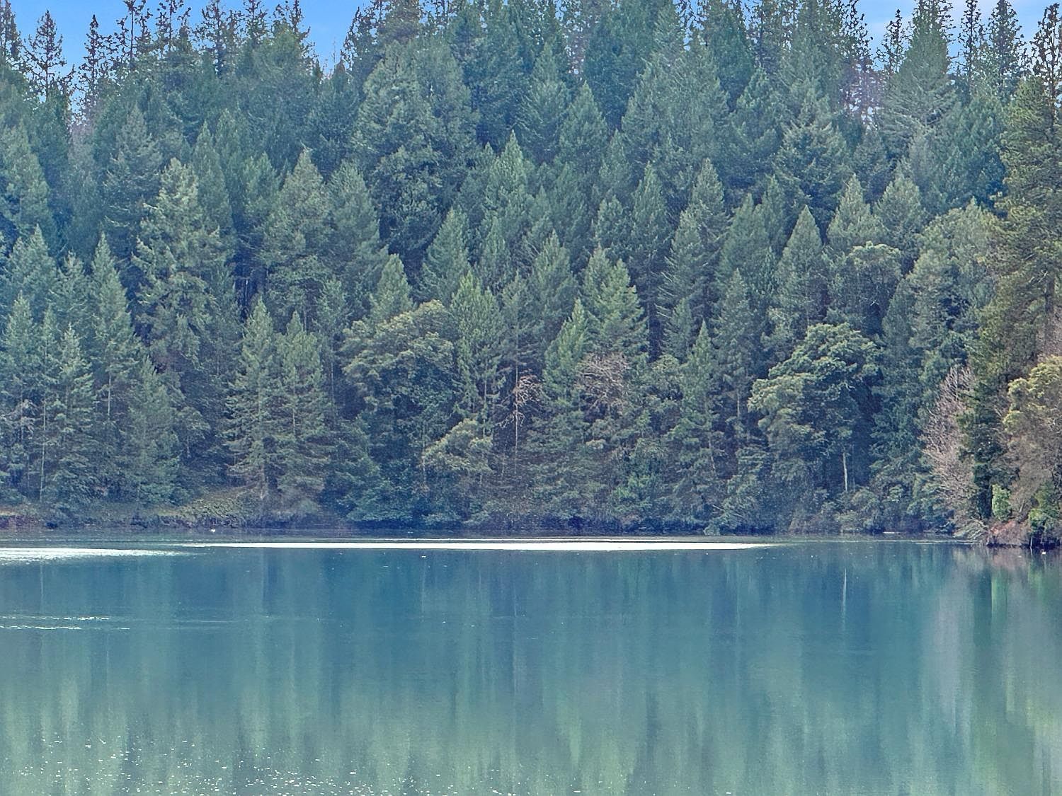 17871 Rollins View Dr Grass Valley, CA 95945 - Thumbnail 2