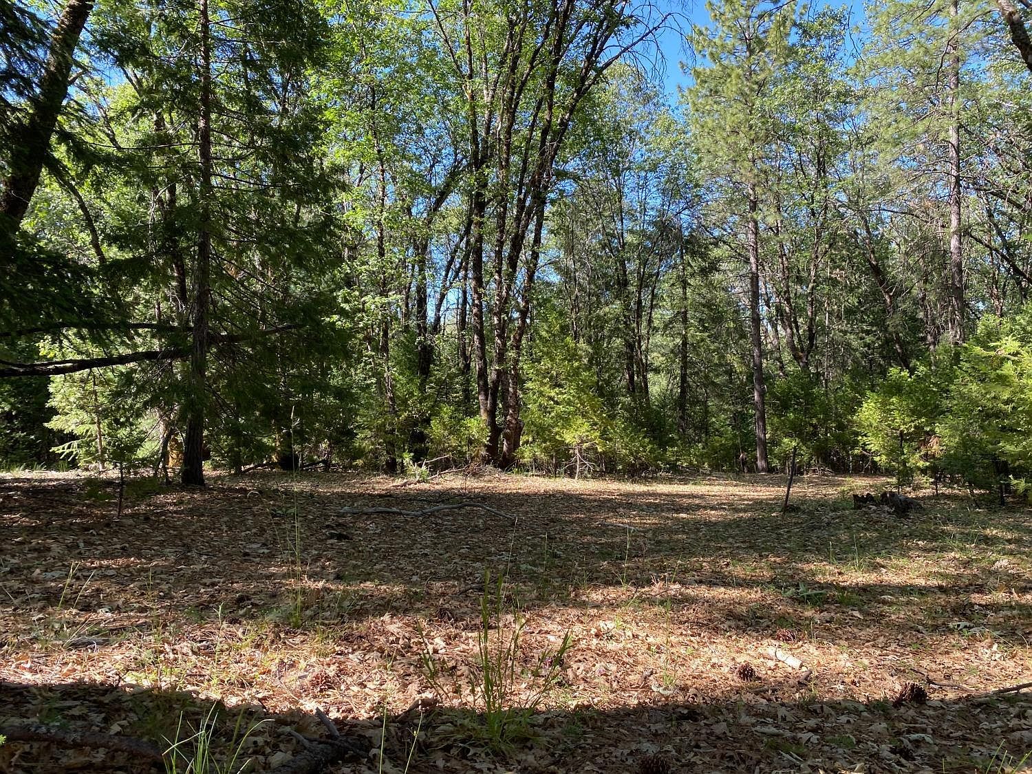 12595 Blackberry Trl Grass Valley, CA 95945 - Thumbnail 2