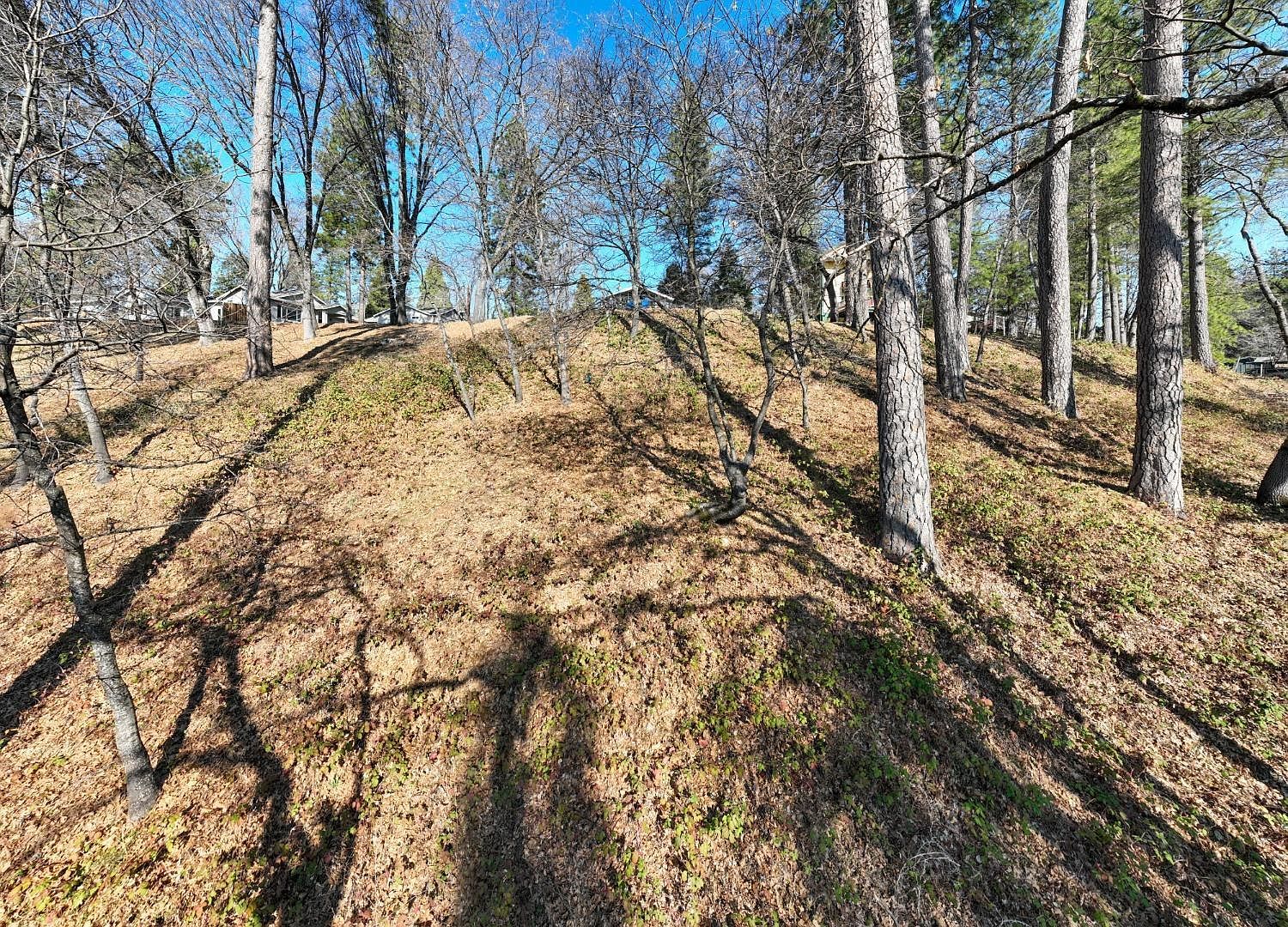 315 Hill St Grass Valley, CA 95945 - Thumbnail 2