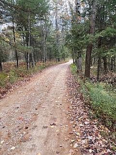 S Blue Springs Trl LOT 23 Falmouth, MI 49632 - Thumbnail 2