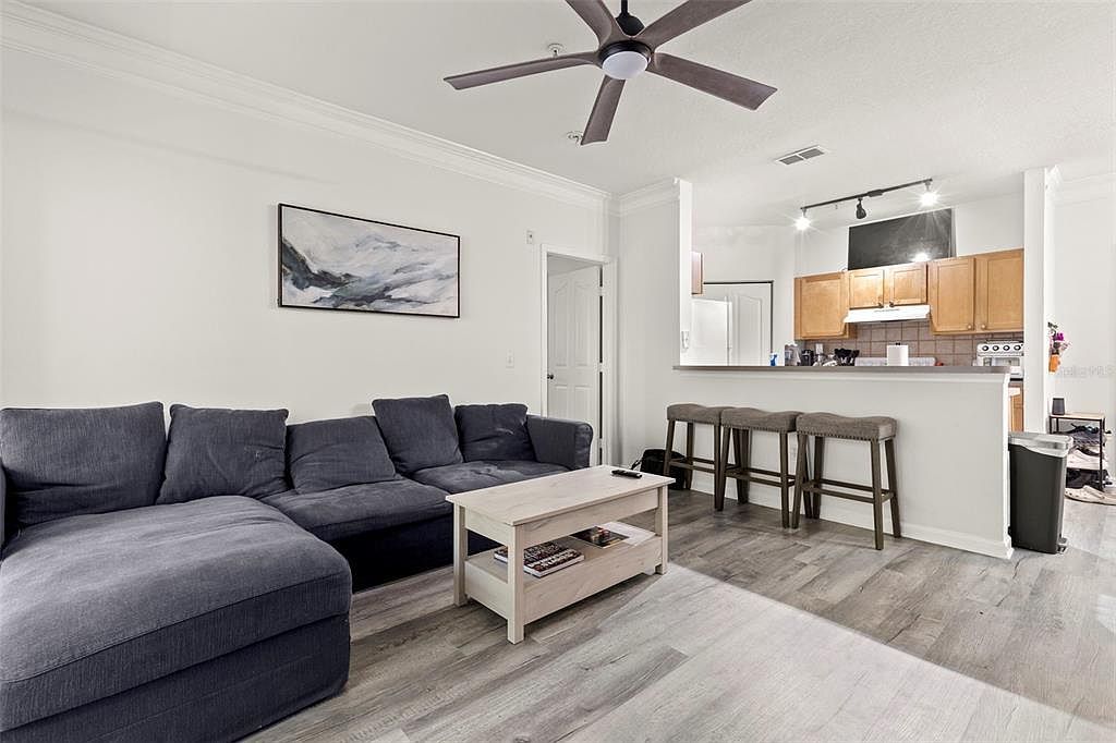 4207 S Dale Mabry Hwy UNIT 6213 Tampa, FL 33611 - Thumbnail 2