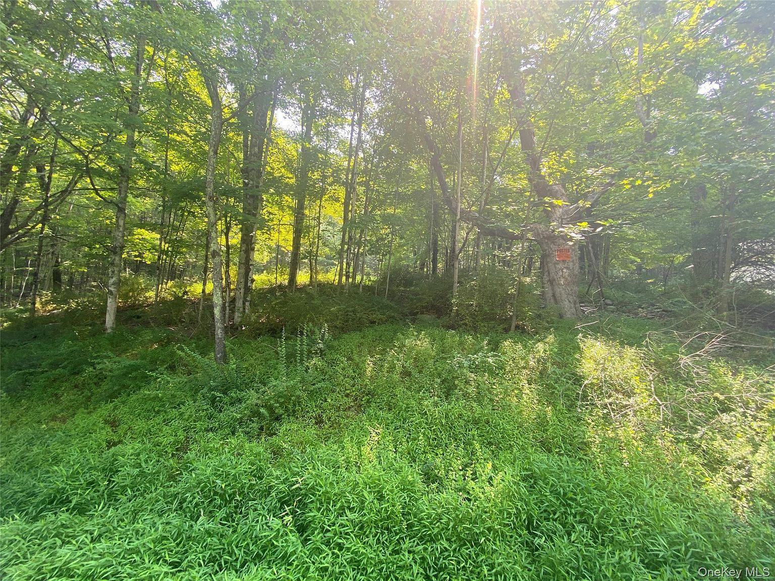 South Rd Wurtsboro, NY 12790 - Thumbnail 2