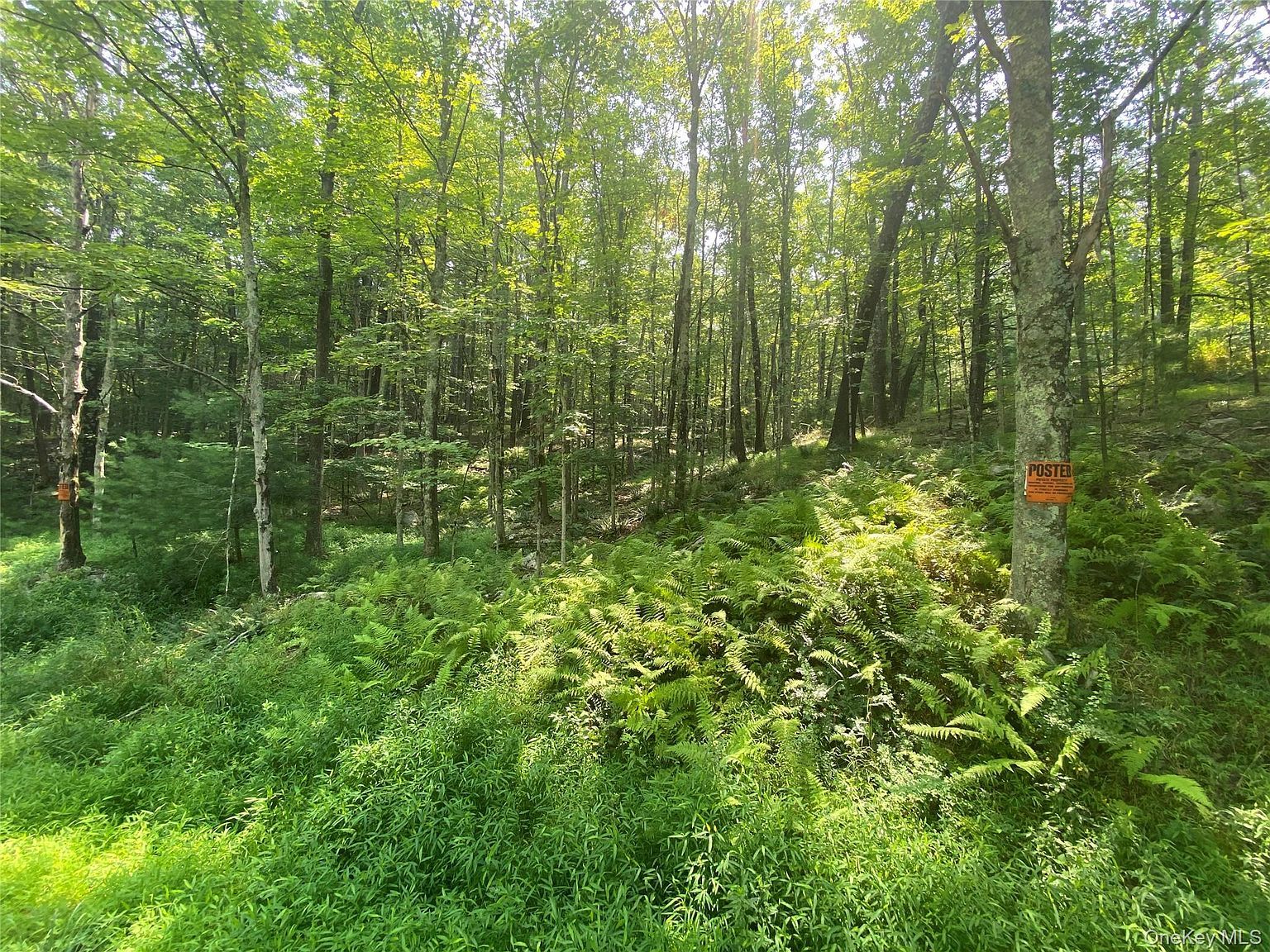 S Road Mamakating Wurtsboro, NY 12790 - Thumbnail 2