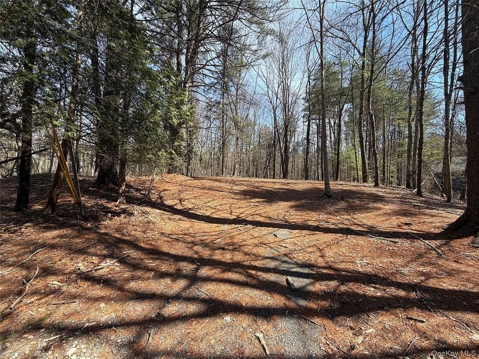 42 Yorkville Park Rd Bloomingburg, NY 12721  | Land/Lot