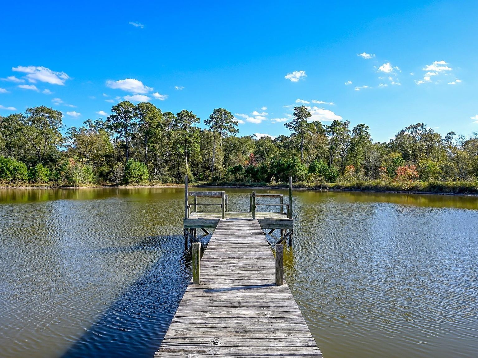 125 Spring Branch Rd Montgomery, TX 77316 - Thumbnail 2