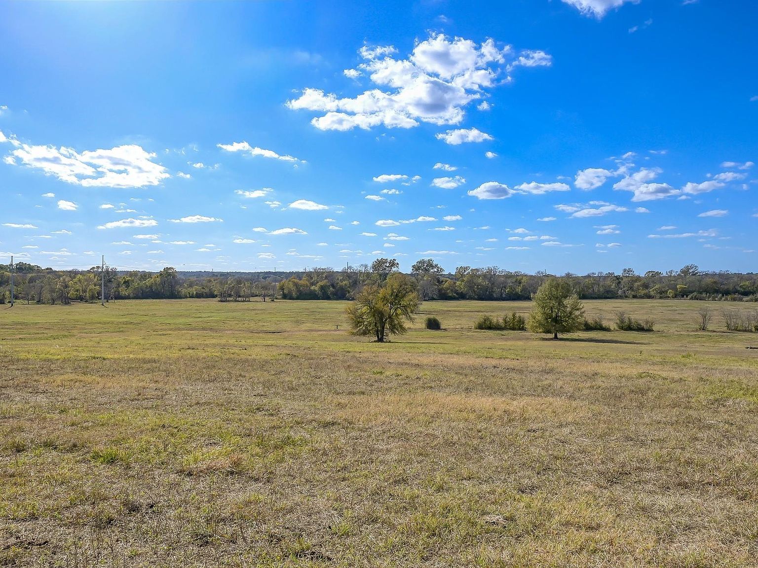 280 Spring Branch Rd Montgomery, TX 77316 - Thumbnail 2