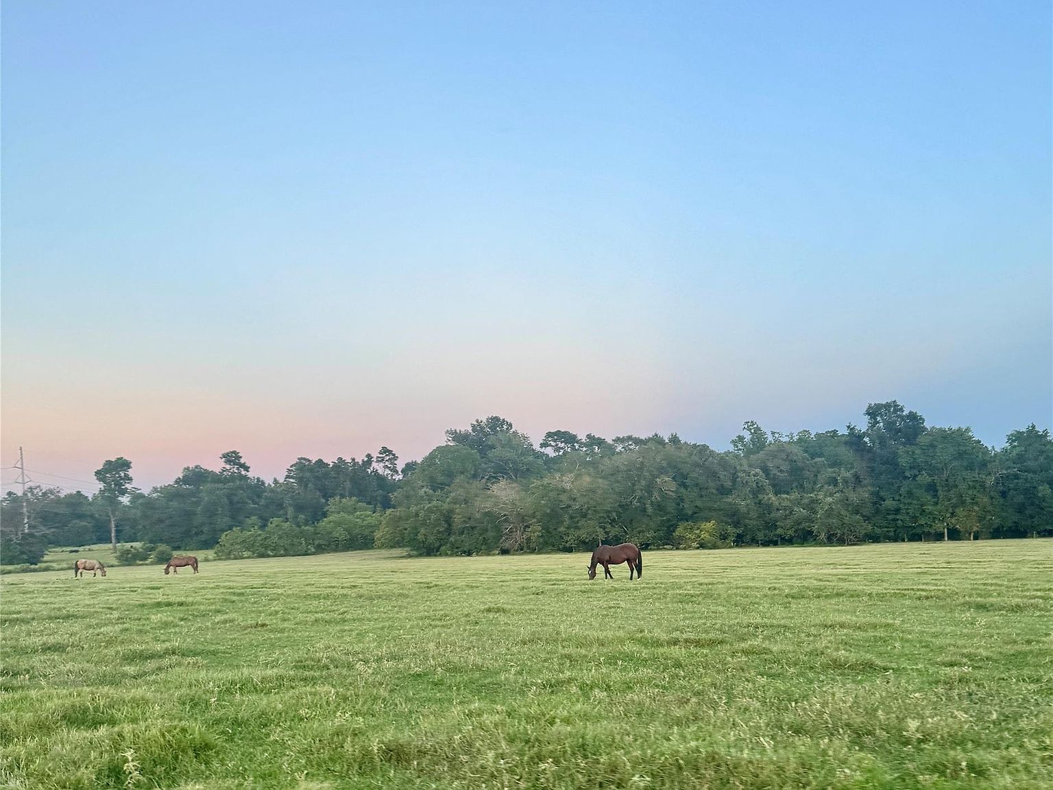 75 Spring Branch Rd Montgomery, TX 77316 - Thumbnail 2