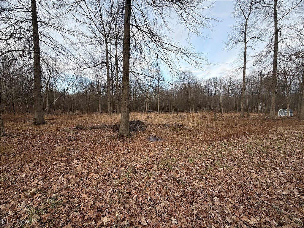 W Nevada Ave Sebring, OH 44672 - Thumbnail 2