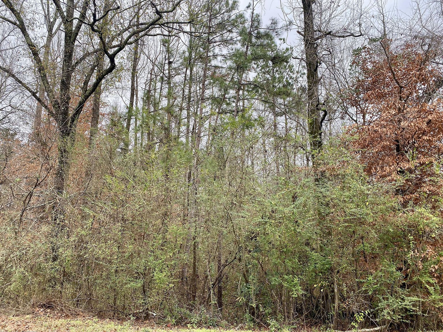 LOT 43 Althea Loop Alexander City, AL 35010 | Land/Lot