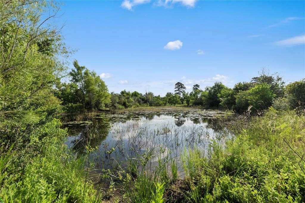 1316 Piney Woods Road, Alleyton, Texas 78935, USA, TX - Thumbnail 2