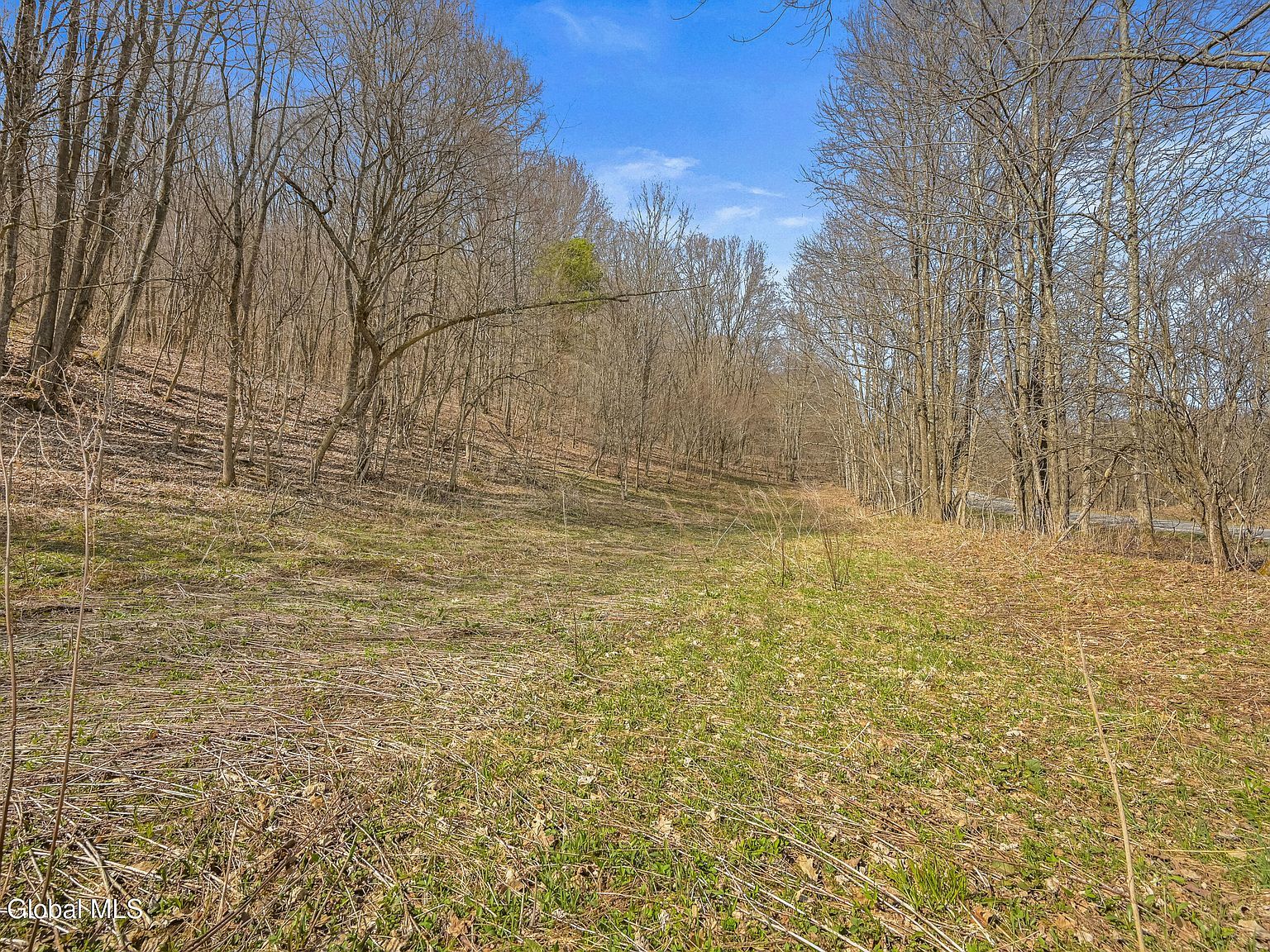 L9112 Lutheranville Rd E Worcester, NY 12197 - Thumbnail 2