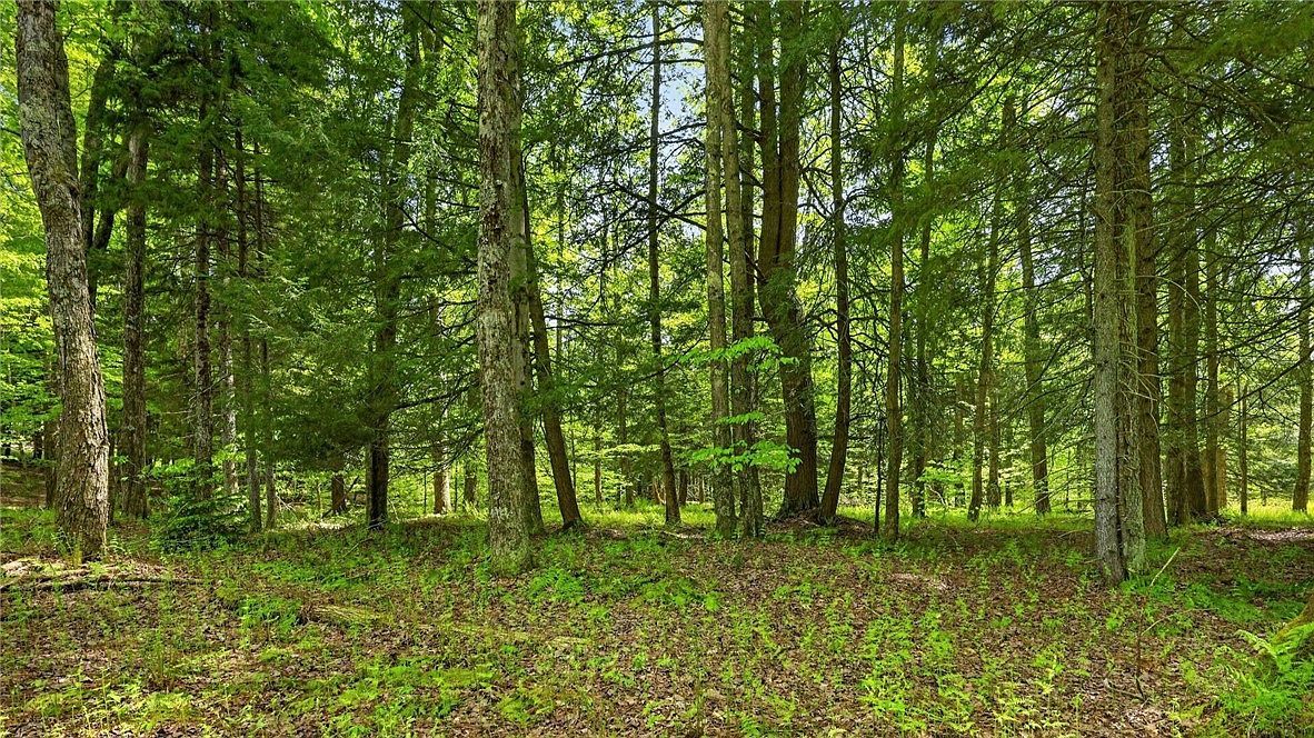 L16 Crystal Brook Path Jefferson, NY 12093, 12093