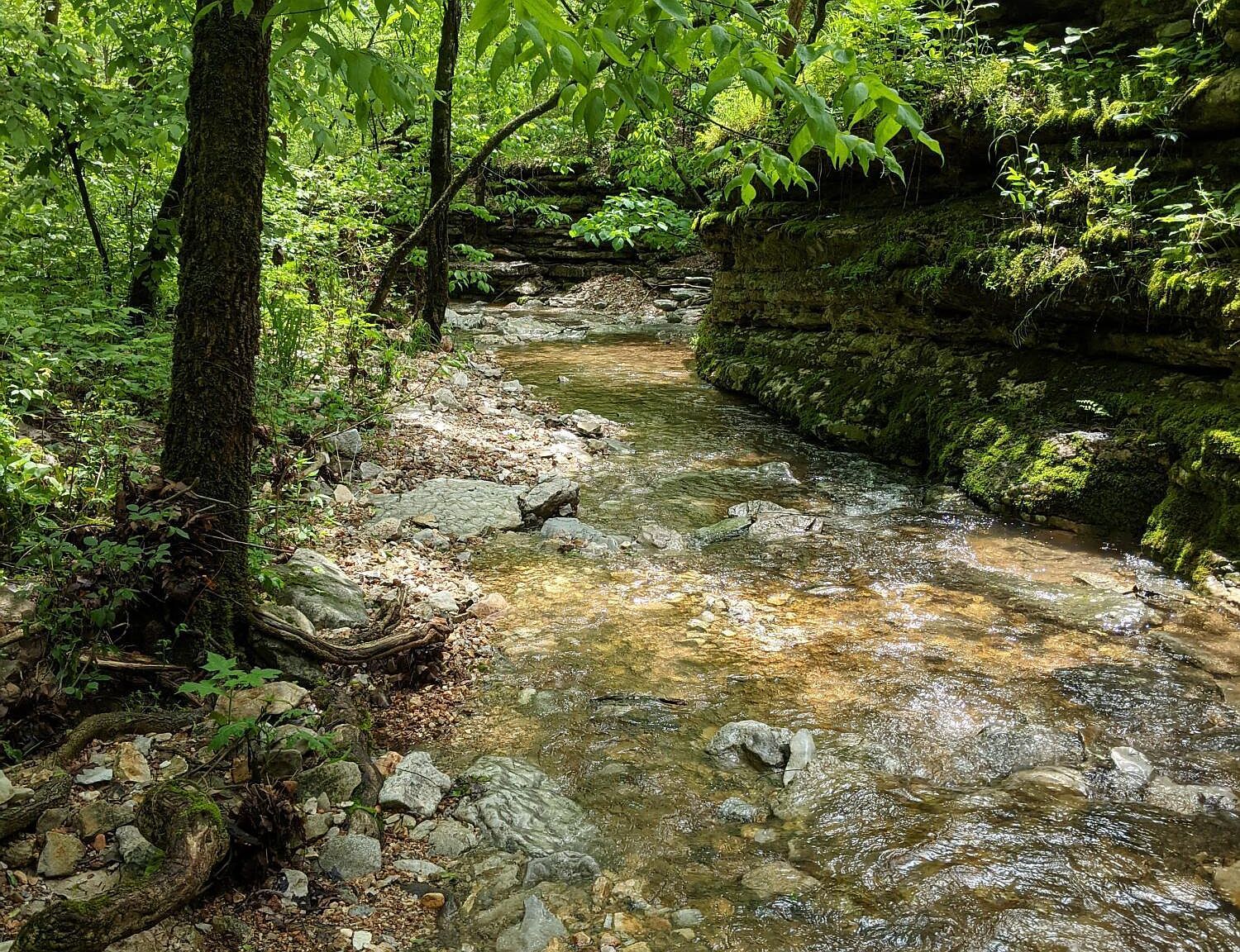 0 Coyote Ridge Rd Cassville, MO 65625 - Thumbnail 2