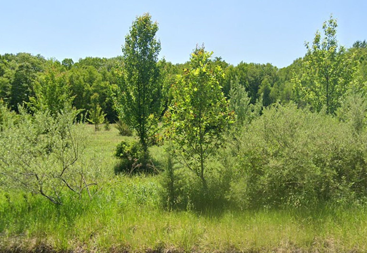 45022 Mountain Rd Stroudsburg, PA 18360 - Thumbnail 2